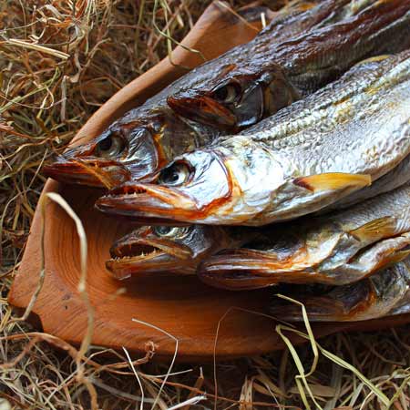 Красная рыба Камчатки - уникальное богатство российской природы