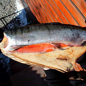 Купить Рыба нерка целая, очищенная  во Владивостоке