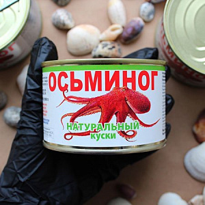 Купить Осьминог натуральный, куски, ж/б во Владивостоке